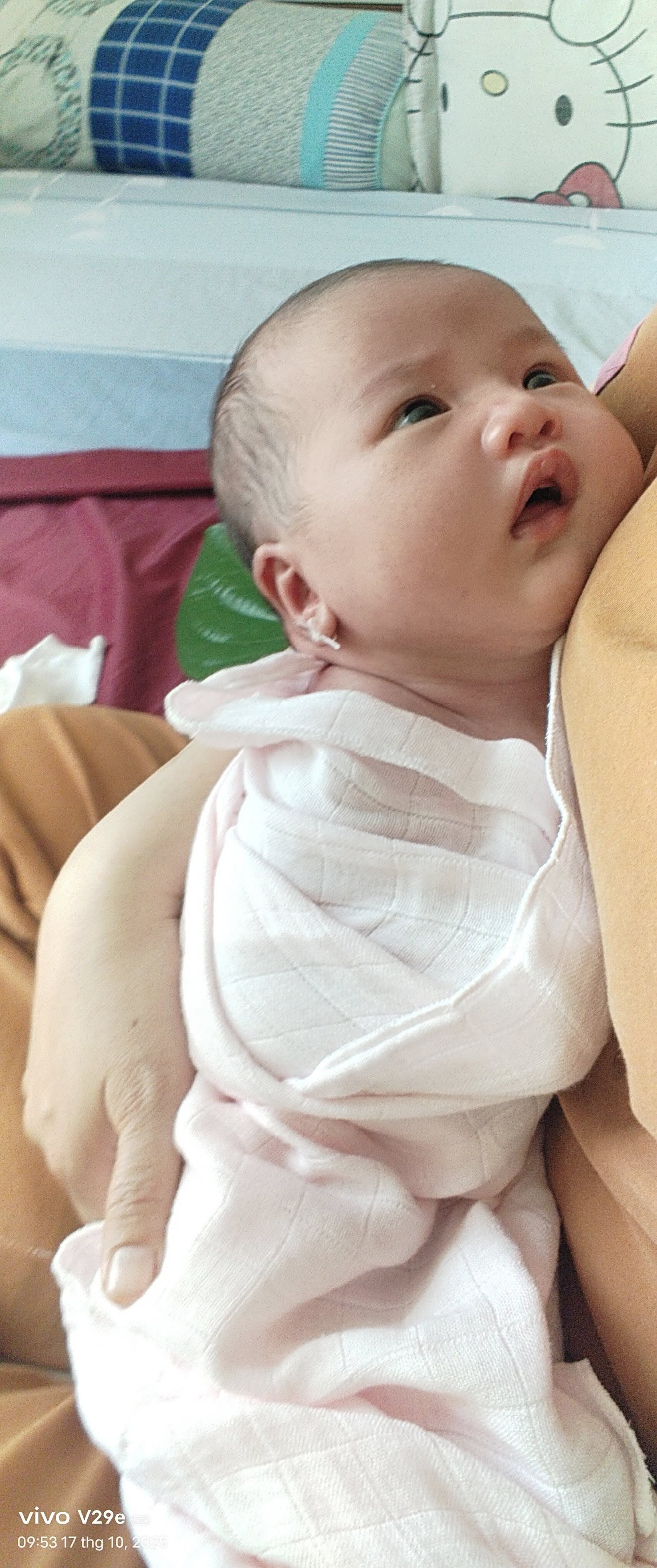 Hướng dẫn cho bé ăn dặm – kinh nghiệm thực tế của một bà mẹ nuôi con nhỏ